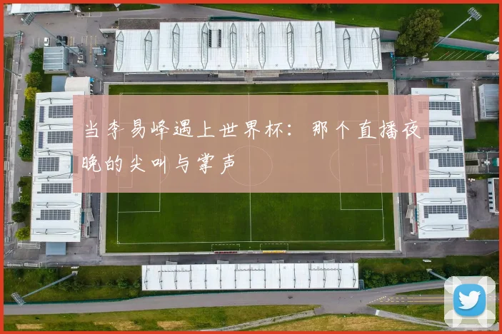当李易峰遇上世界杯：那个直播夜晚的尖叫与掌声
