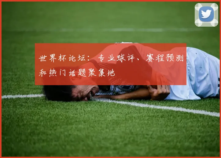 世界杯论坛：专业球评、赛程预测和热门话题聚集地