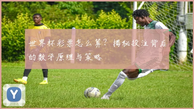 世界杯彩票怎么算？揭秘投注背后的数学原理与策略