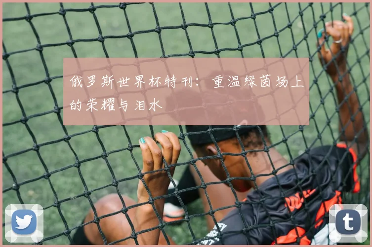 俄罗斯世界杯特刊：重温绿茵场上的荣耀与泪水